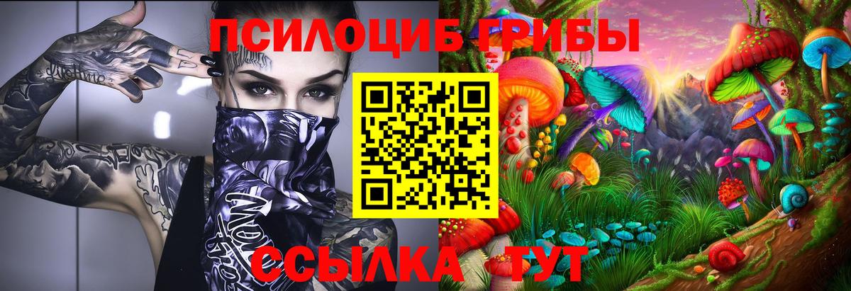 Псилоцибиновые грибы Magic Shrooms Серпухов